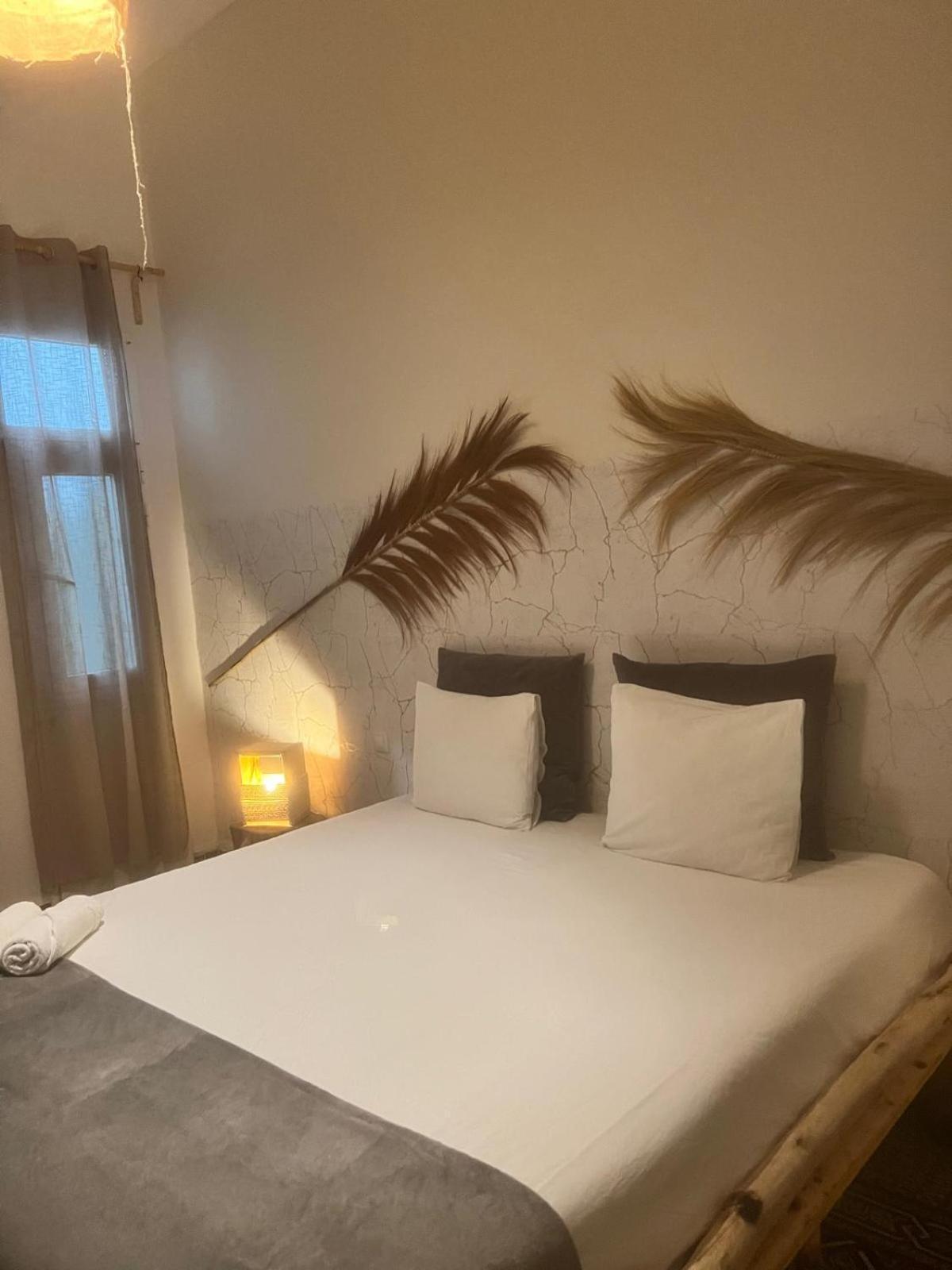 Cactus Host Hostel ลาสปัลมาส เด กรานคานาเรีย ภายนอก รูปภาพ